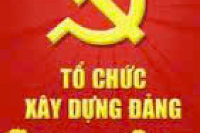 TRƯỜNG TIỂU HỌC HOÀNG NAM NGHIÊM TÚC TRIỂN KHAI HỌC TẬP, QUÁN TRIỆT NGHỊ QUYẾT TRUNG ƯƠNG KHÓA XIV NỀN TẢNG VỮNG CHẮC CHO ĐỔI MỚI GIÁO DỤC