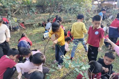 Tay em vun đất – hoa nở trong tim