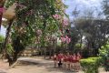CHƯƠNG TRÌNH PHÁT THANH MĂNG NON – THÁNG 5 – CHỦ ĐỀ”MỪNG SINH NHẬT ĐỘI TNTP HỒ CHÍ MINH.”